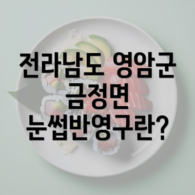 전라남도 영암군 금정면 눈썹반영구란?