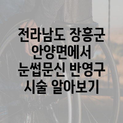 전라남도 장흥군 안양면에서 눈썹문신 반영구 시술 알아보기