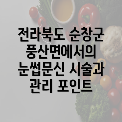 전라북도 순창군 풍산면에서의 눈썹문신 시술과 관리 포인트