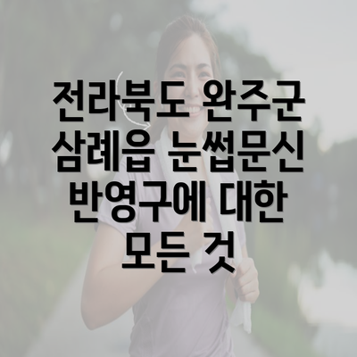 전라북도 완주군 삼례읍 눈썹문신 반영구에 대한 모든 것