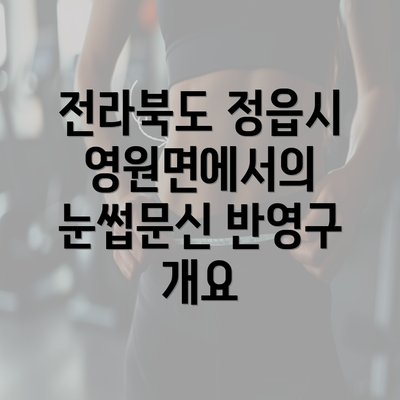 전라북도 정읍시 영원면에서의 눈썹문신 반영구 개요