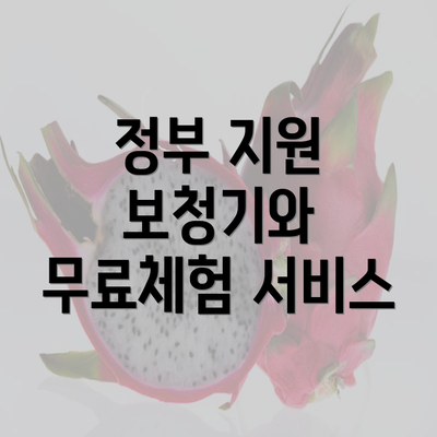 정부 지원 보청기와 무료체험 서비스