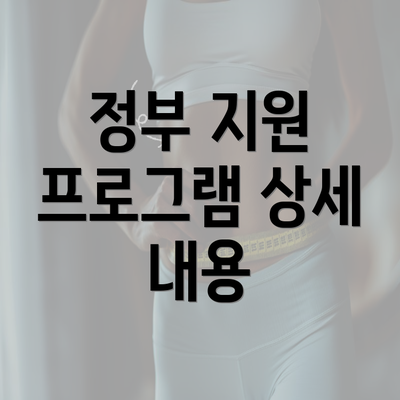 정부 지원 프로그램 상세 내용