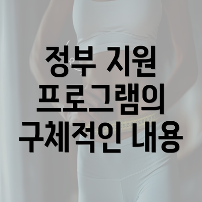 정부 지원 프로그램의 구체적인 내용