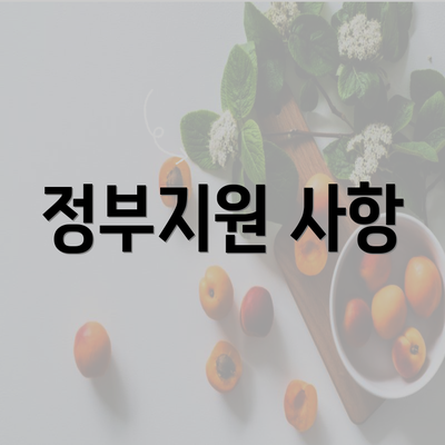 정부지원 사항