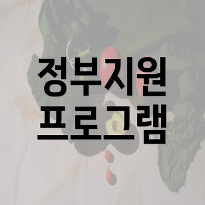 정부지원 프로그램