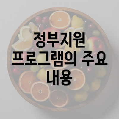 정부지원 프로그램의 주요 내용