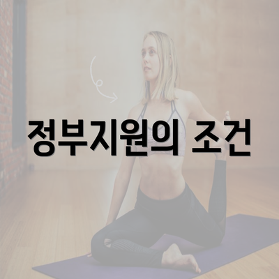 정부지원의 조건