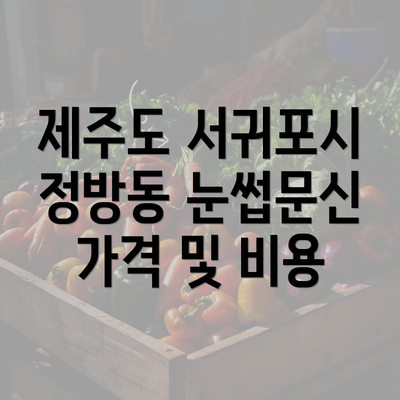 제주도 서귀포시 정방동 눈썹문신 가격 및 비용