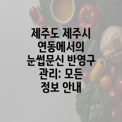 제주도 제주시 연동에서의 눈썹문신 반영구 관리: 모든 정보 안내