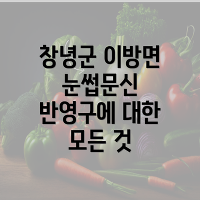 창녕군 이방면 눈썹문신 반영구에 대한 모든 것