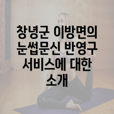 창녕군 이방면의 눈썹문신 반영구 서비스에 대한 소개