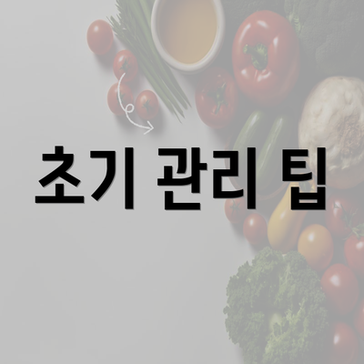 초기 관리 팁