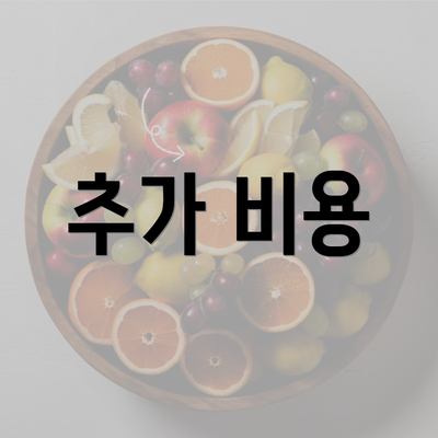 추가 비용