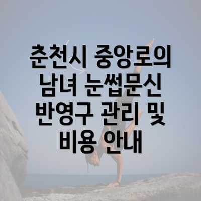 춘천시 중앙로의 남녀 눈썹문신 반영구 관리 및 비용 안내