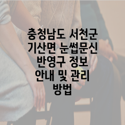 충청남도 서천군 기산면 눈썹문신 반영구 정보 안내 및 관리 방법