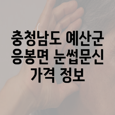 충청남도 예산군 응봉면 눈썹문신 가격 정보