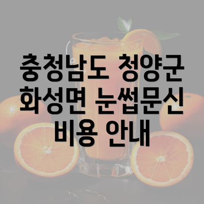 충청남도 청양군 화성면 눈썹문신 비용 안내