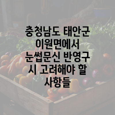 충청남도 태안군 이원면에서 눈썹문신 반영구 시 고려해야 할 사항들