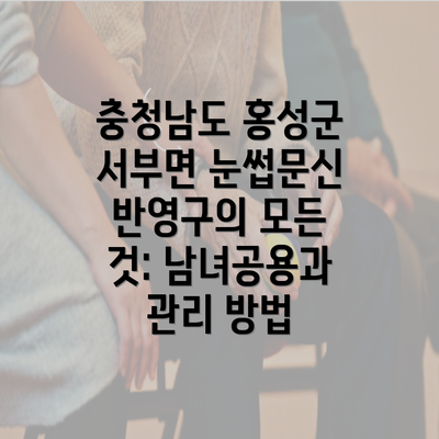 충청남도 홍성군 서부면 눈썹문신 반영구의 모든 것: 남녀공용과 관리 방법