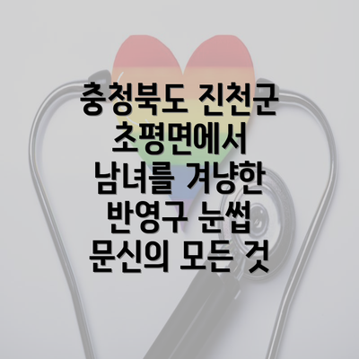 충청북도 진천군 초평면에서 남녀를 겨냥한 반영구 눈썹 문신의 모든 것