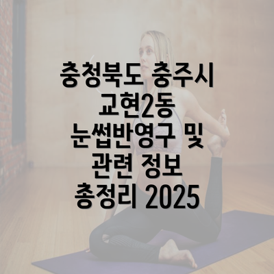 충청북도 충주시 교현2동 눈썹반영구 및 관련 정보 총정리 2025