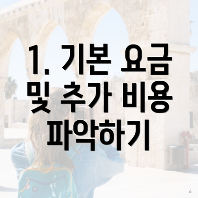 1. 기본 요금 및 추가 비용 파악하기