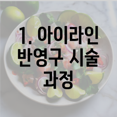 1. 아이라인 반영구 시술 과정