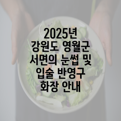 2025년 강원도 영월군 서면의 눈썹 및 입술 반영구 화장 안내