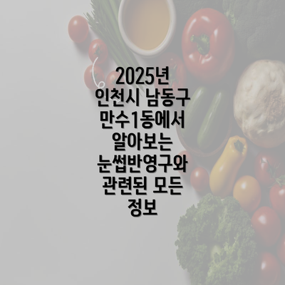 2025년 인천시 남동구 만수1동에서 알아보는 눈썹반영구와 관련된 모든 정보