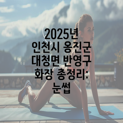 2025년 인천시 옹진군 대청면 반영구 화장 총정리: 눈썹