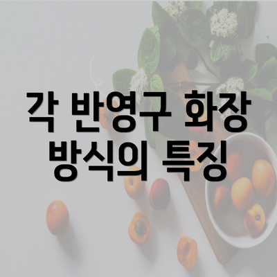 각 반영구 화장 방식의 특징