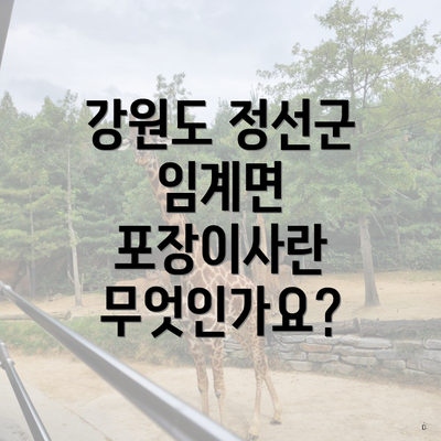 강원도 정선군 임계면 포장이사란 무엇인가요?