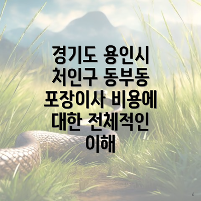 경기도 용인시 처인구 동부동 포장이사 비용에 대한 전체적인 이해