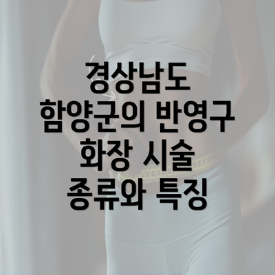 경상남도 함양군의 반영구 화장 시술 종류와 특징