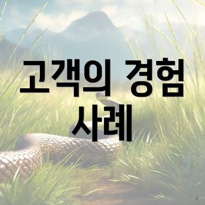 고객의 경험 사례