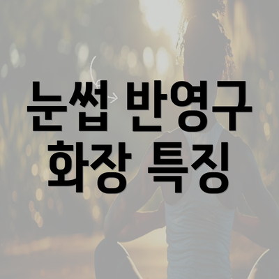 눈썹 반영구 화장 특징