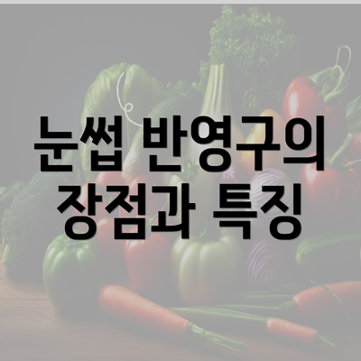 눈썹 반영구의 장점과 특징