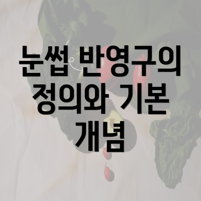 눈썹 반영구의 정의와 기본 개념