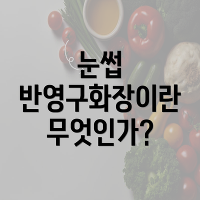 눈썹 반영구화장이란 무엇인가?