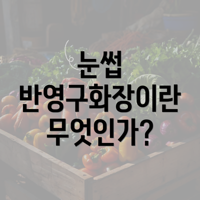 눈썹 반영구화장이란 무엇인가?