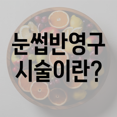 눈썹반영구 시술이란?