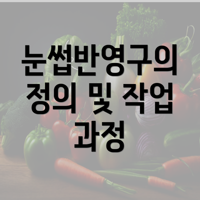 눈썹반영구의 정의 및 작업 과정