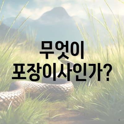 무엇이 포장이사인가?