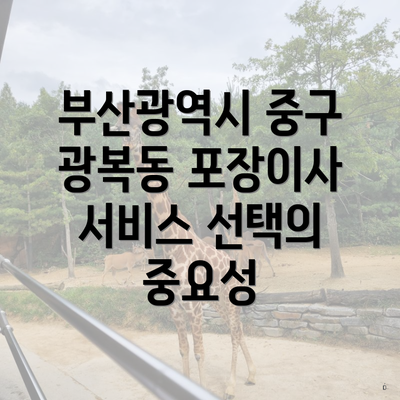 부산광역시 중구 광복동 포장이사 서비스 선택의 중요성