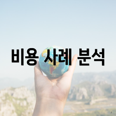 비용 사례 분석