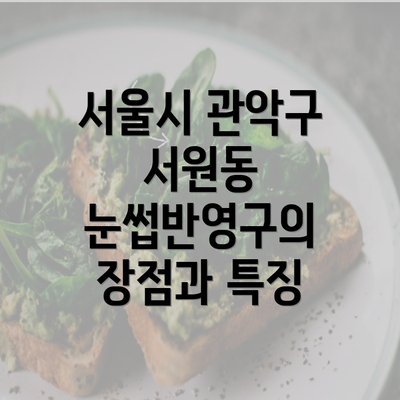 서울시 관악구 서원동 눈썹반영구의 장점과 특징