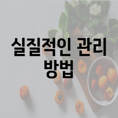 실질적인 관리 방법