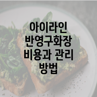 아이라인 반영구화장 비용과 관리 방법