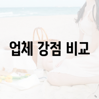 업체 강점 비교